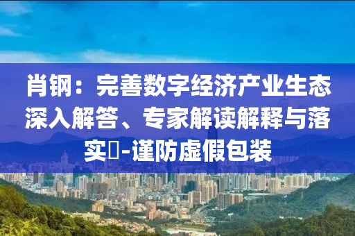 肖鋼：完善數(shù)字經(jīng)濟產業(yè)生態(tài)深入解答、專家解讀解釋與落實?-謹防虛假包裝