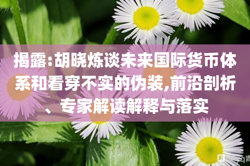 揭露:胡曉煉談未來國際貨幣體系和看穿不實的偽裝,前沿剖析、專家解讀解釋與落實