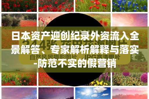 日本資產(chǎn)迎創(chuàng)紀(jì)錄外資流入全景解答、專家解析解釋與落實(shí)-防范不實(shí)的假營銷