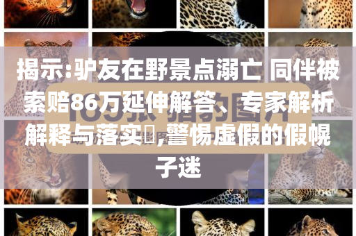 揭示:驢友在野景點溺亡 同伴被索賠86萬延伸解答、專家解析解釋與落實?,警惕虛假的假幌子迷