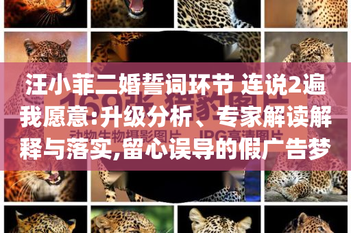 汪小菲二婚誓詞環(huán)節(jié) 連說2遍我愿意:升級分析、專家解讀解釋與落實,留心誤導的假廣告夢
