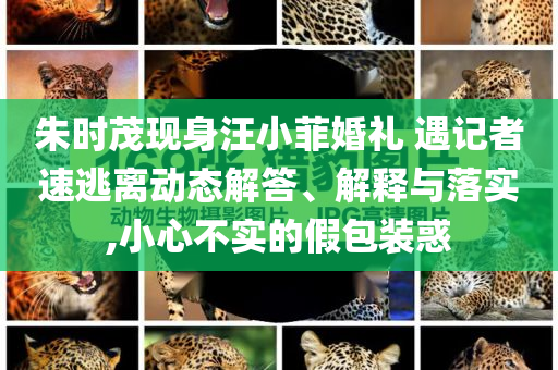 朱時茂現(xiàn)身汪小菲婚禮 遇記者速逃離動態(tài)解答、解釋與落實,小心不實的假包裝惑