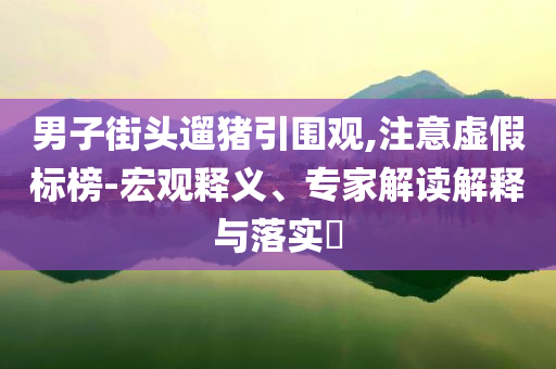 男子街頭遛豬引圍觀,注意虛假標榜-宏觀釋義、專家解讀解釋與落實?
