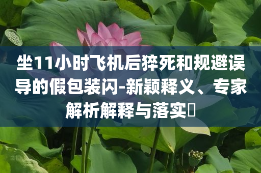 坐11小時飛機后猝死和規(guī)避誤導的假包裝閃-新穎釋義、專家解析解釋與落實?