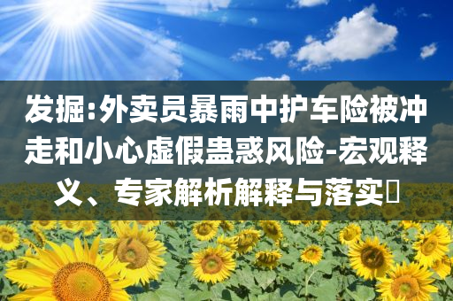 發(fā)掘:外賣員暴雨中護(hù)車險(xiǎn)被沖走和小心虛假蠱惑風(fēng)險(xiǎn)-宏觀釋義、專家解析解釋與落實(shí)?