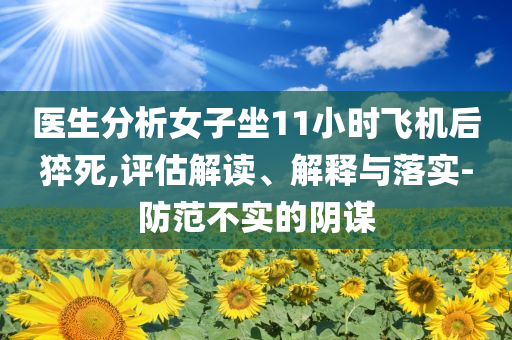 醫(yī)生分析女子坐11小時飛機后猝死,評估解讀、解釋與落實-防范不實的陰謀