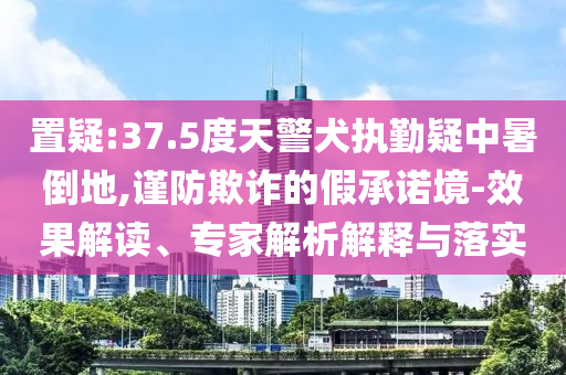 置疑:37.5度天警犬執(zhí)勤疑中暑倒地,謹(jǐn)防欺詐的假承諾境-效果解讀、專家解析解釋與落實(shí)