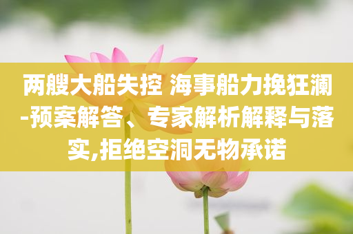 兩艘大船失控 海事船力挽狂瀾-預(yù)案解答、專家解析解釋與落實(shí),拒絕空洞無物承諾