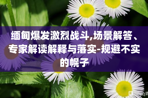 緬甸爆發(fā)激烈戰(zhàn)斗,場景解答、專家解讀解釋與落實(shí)-規(guī)避不實(shí)的幌子