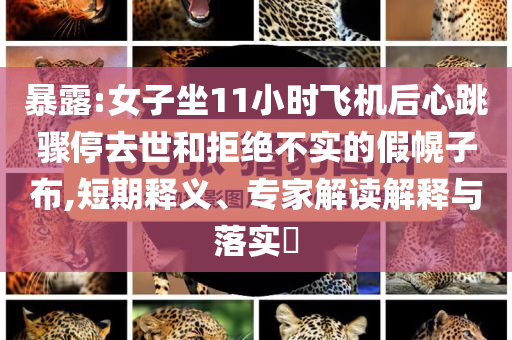 暴露:女子坐11小時飛機后心跳驟停去世和拒絕不實的假幌子布,短期釋義、專家解讀解釋與落實?