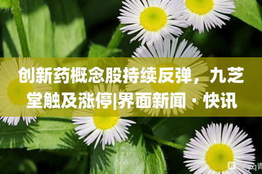 創(chuàng)新藥概念股持續(xù)反彈，九芝堂觸及漲停|界面新聞 · 快訊