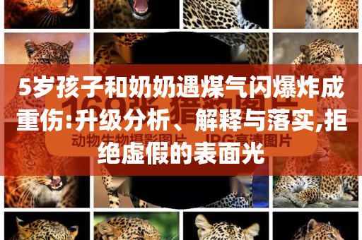 5歲孩子和奶奶遇煤氣閃爆炸成重傷:升級(jí)分析、解釋與落實(shí),拒絕虛假的表面光