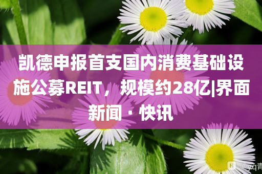 凱德申報首支國內(nèi)消費基礎(chǔ)設(shè)施公募REIT，規(guī)模約28億|界面新聞 · 快訊