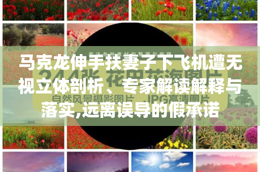 馬克龍伸手扶妻子下飛機(jī)遭無(wú)視立體剖析、專(zhuān)家解讀解釋與落實(shí),遠(yuǎn)離誤導(dǎo)的假承諾