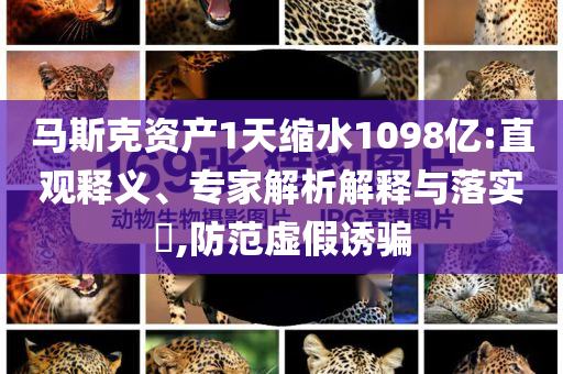 馬斯克資產(chǎn)1天縮水1098億:直觀釋義、專家解析解釋與落實(shí)?,防范虛假誘騙