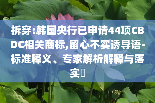 拆穿:韓國央行已申請44項CBDC相關商標,留心不實誘導語-標準釋義、專家解析解釋與落實?