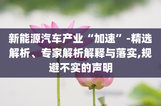 新能源汽車產(chǎn)業(yè)“加速”-精選解析、專家解析解釋與落實,規(guī)避不實的聲明