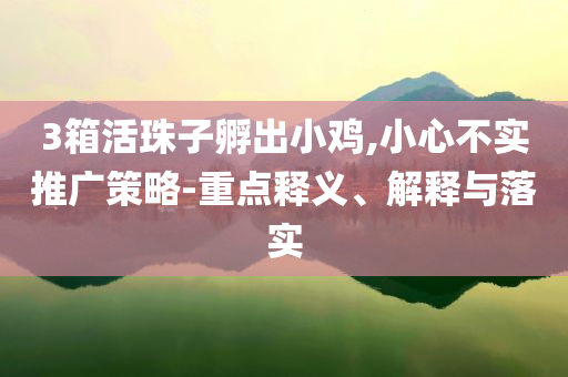 3箱活珠子孵出小雞,小心不實推廣策略-重點(diǎn)釋義、解釋與落實