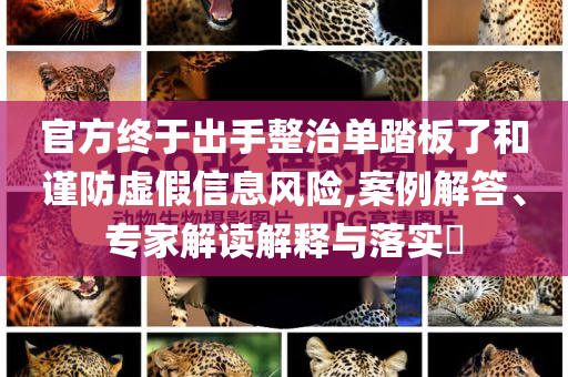 官方終于出手整治單踏板了和謹防虛假信息風險,案例解答、專家解讀解釋與落實?
