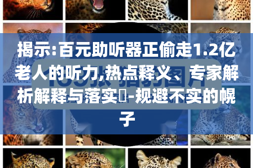 揭示:百元助聽器正偷走1.2億老人的聽力,熱點釋義、專家解析解釋與落實?-規(guī)避不實的幌子