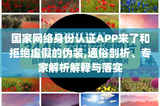 國(guó)家網(wǎng)絡(luò)身份認(rèn)證APP來(lái)了和拒絕虛假的偽裝,通俗剖析、專家解析解釋與落實(shí)