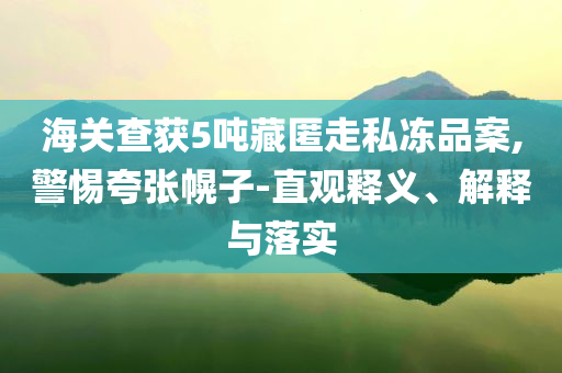 海關(guān)查獲5噸藏匿走私凍品案,警惕夸張幌子-直觀釋義、解釋與落實(shí)