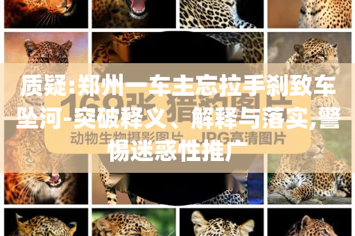 質(zhì)疑:鄭州一車主忘拉手剎致車墜河-突破釋義、解釋與落實(shí),警惕迷惑性推廣