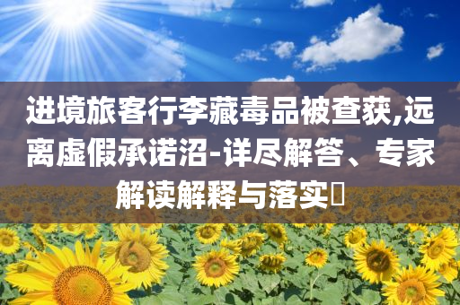 進(jìn)境旅客行李藏毒品被查獲,遠(yuǎn)離虛假承諾沼-詳盡解答、專家解讀解釋與落實(shí)?