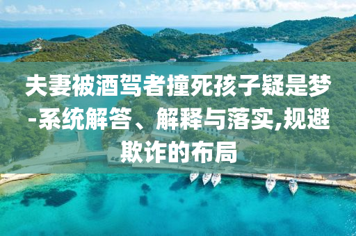 夫妻被酒駕者撞死孩子疑是夢-系統(tǒng)解答、解釋與落實,規(guī)避欺詐的布局