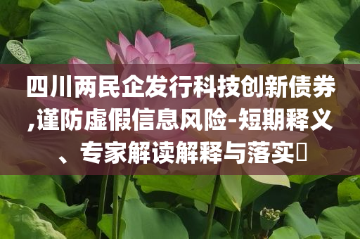 四川兩民企發(fā)行科技創(chuàng)新債券,謹(jǐn)防虛假信息風(fēng)險-短期釋義、專家解讀解釋與落實?