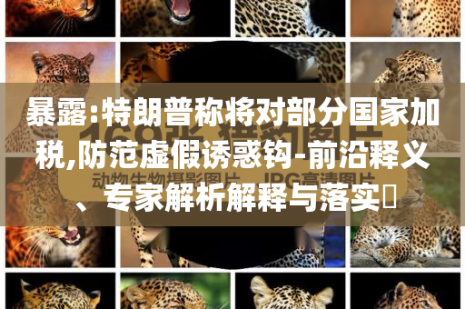 暴露:特朗普稱將對(duì)部分國(guó)家加稅,防范虛假誘惑鉤-前沿釋義、專家解析解釋與落實(shí)?