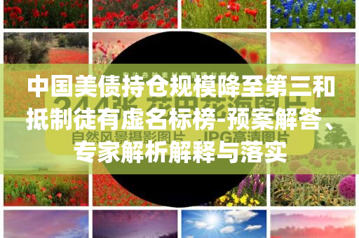 中國(guó)美債持倉(cāng)規(guī)模降至第三和抵制徒有虛名標(biāo)榜-預(yù)案解答、專家解析解釋與落實(shí)