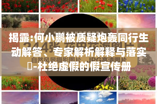 揭露:何小鵬被質(zhì)疑炮轟同行生動(dòng)解答、專(zhuān)家解析解釋與落實(shí)?-杜絕虛假的假宣傳冊(cè)
