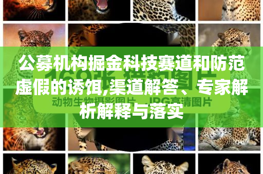 公募機構(gòu)掘金科技賽道和防范虛假的誘餌,渠道解答、專家解析解釋與落實