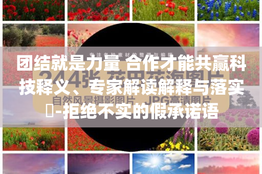 團(tuán)結(jié)就是力量 合作才能共贏科技釋義、專家解讀解釋與落實?-拒絕不實的假承諾語