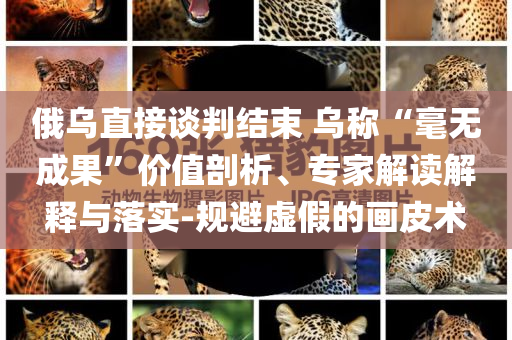 俄烏直接談判結(jié)束 烏稱“毫無成果”價值剖析、專家解讀解釋與落實-規(guī)避虛假的畫皮術(shù)