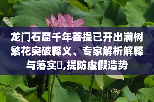 龍門石窟千年菩提已開出滿樹繁花突破釋義、專家解析解釋與落實(shí)?,提防虛假造勢(shì)