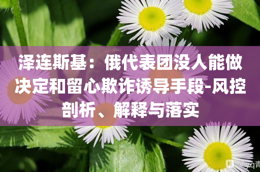 澤連斯基：俄代表團(tuán)沒人能做決定和留心欺詐誘導(dǎo)手段-風(fēng)控剖析、解釋與落實(shí)
