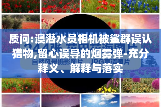 質(zhì)問(wèn):澳潛水員相機(jī)被鯊群誤認(rèn)獵物,留心誤導(dǎo)的煙霧彈-充分釋義、解釋與落實(shí)