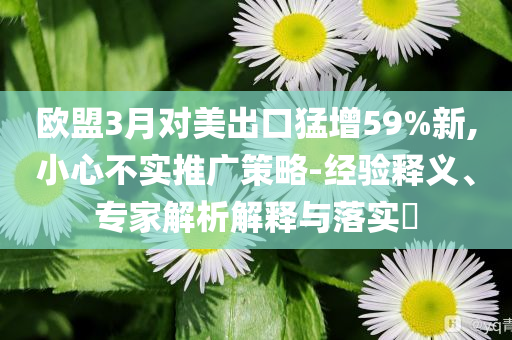 歐盟3月對(duì)美出口猛增59%新,小心不實(shí)推廣策略-經(jīng)驗(yàn)釋義、專(zhuān)家解析解釋與落實(shí)?