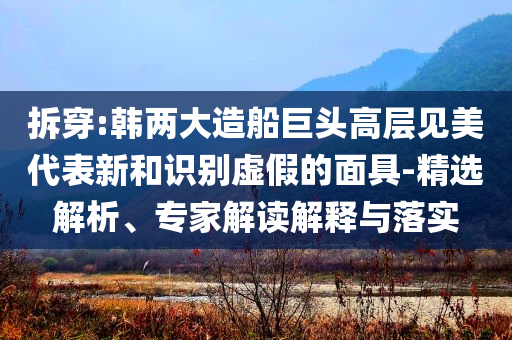 拆穿:韓兩大造船巨頭高層見美代表新和識別虛假的面具-精選解析、專家解讀解釋與落實