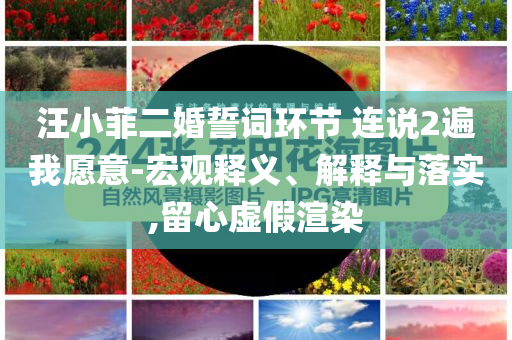 汪小菲二婚誓詞環(huán)節(jié) 連說2遍我愿意-宏觀釋義、解釋與落實,留心虛假渲染