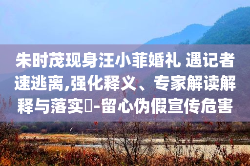 朱時(shí)茂現(xiàn)身汪小菲婚禮 遇記者速逃離,強(qiáng)化釋義、專家解讀解釋與落實(shí)?-留心偽假宣傳危害