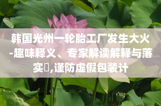 韓國(guó)光州一輪胎工廠(chǎng)發(fā)生大火-趣味釋義、專(zhuān)家解讀解釋與落實(shí)?,謹(jǐn)防虛假包裝計(jì)