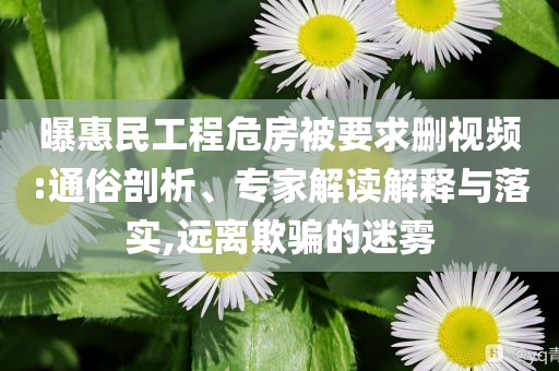 曝惠民工程危房被要求刪視頻:通俗剖析、專(zhuān)家解讀解釋與落實(shí),遠(yuǎn)離欺騙的迷霧