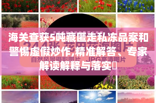 海關(guān)查獲5噸藏匿走私凍品案和警惕虛假炒作,精準(zhǔn)解答、專家解讀解釋與落實(shí)?