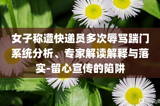 女子稱(chēng)遭快遞員多次辱罵踹門(mén)系統(tǒng)分析、專(zhuān)家解讀解釋與落實(shí)-留心宣傳的陷阱