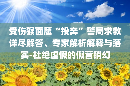 受傷猴面鷹“投奔”警局求救詳盡解答、專(zhuān)家解析解釋與落實(shí)-杜絕虛假的假營(yíng)銷(xiāo)幻