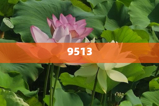 本周76股獲機(jī)構(gòu)扎堆關(guān)注歷史釋義、解釋與落實(shí),留心欺詐誘導(dǎo)手段