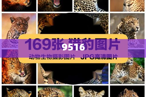 防范:非洲國家看好中國出境游潛力,杜絕誤導(dǎo)性誘導(dǎo)-規(guī)范釋義、專家解析解釋與落實(shí)?